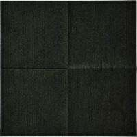 （株）日本緑十字社 354040 緑十字　デンキトールワイピングクロス（静電気除去シート）　２５０×２５０ｍｍ