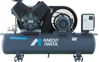 IWATA 岩田 压缩机  TFP15CF-10M6  TFP22CF-10M5