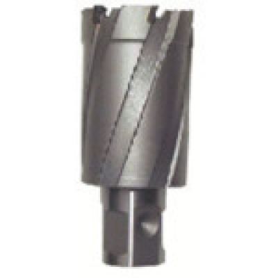 育良精機（株） CRSQ350 育良　ライトボーラー用替刃（超硬刃）（５１１０７）