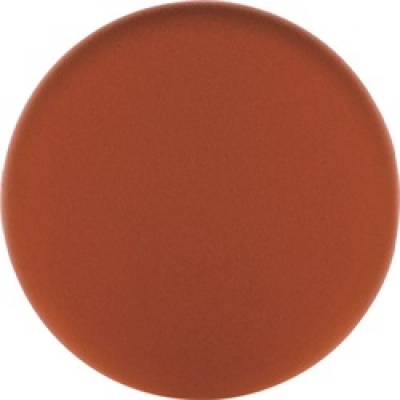 （株）ハーフェレジャパン 493852 ＦＥＳＴＯＯＬ　スポンジ　オレンジ　１５０ｘ３０ｍｍ　　１枚入り