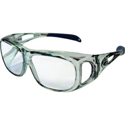 （株）アックス RG-612 アックス　“オーバーグラスルーペ