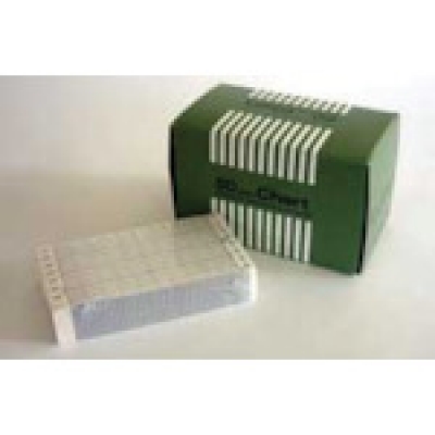 （株）チノー ES6604 ＣＨＩＮＯ　ＥＳ６００シリーズ記録紙